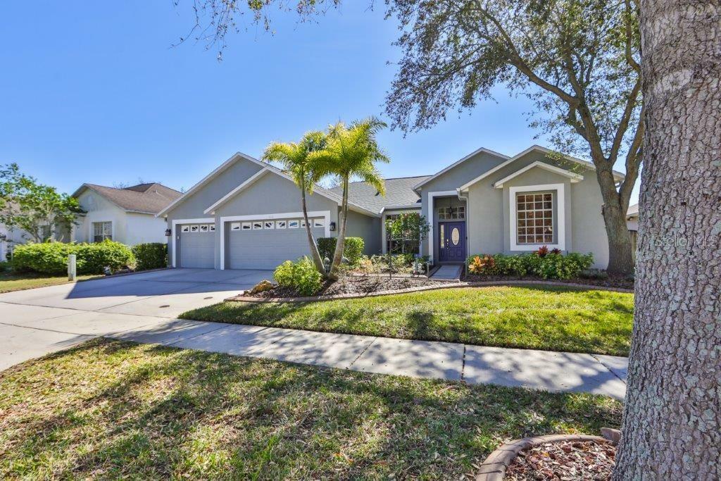 Property Photo:  9211 Grand Palm Court  FL 33578 