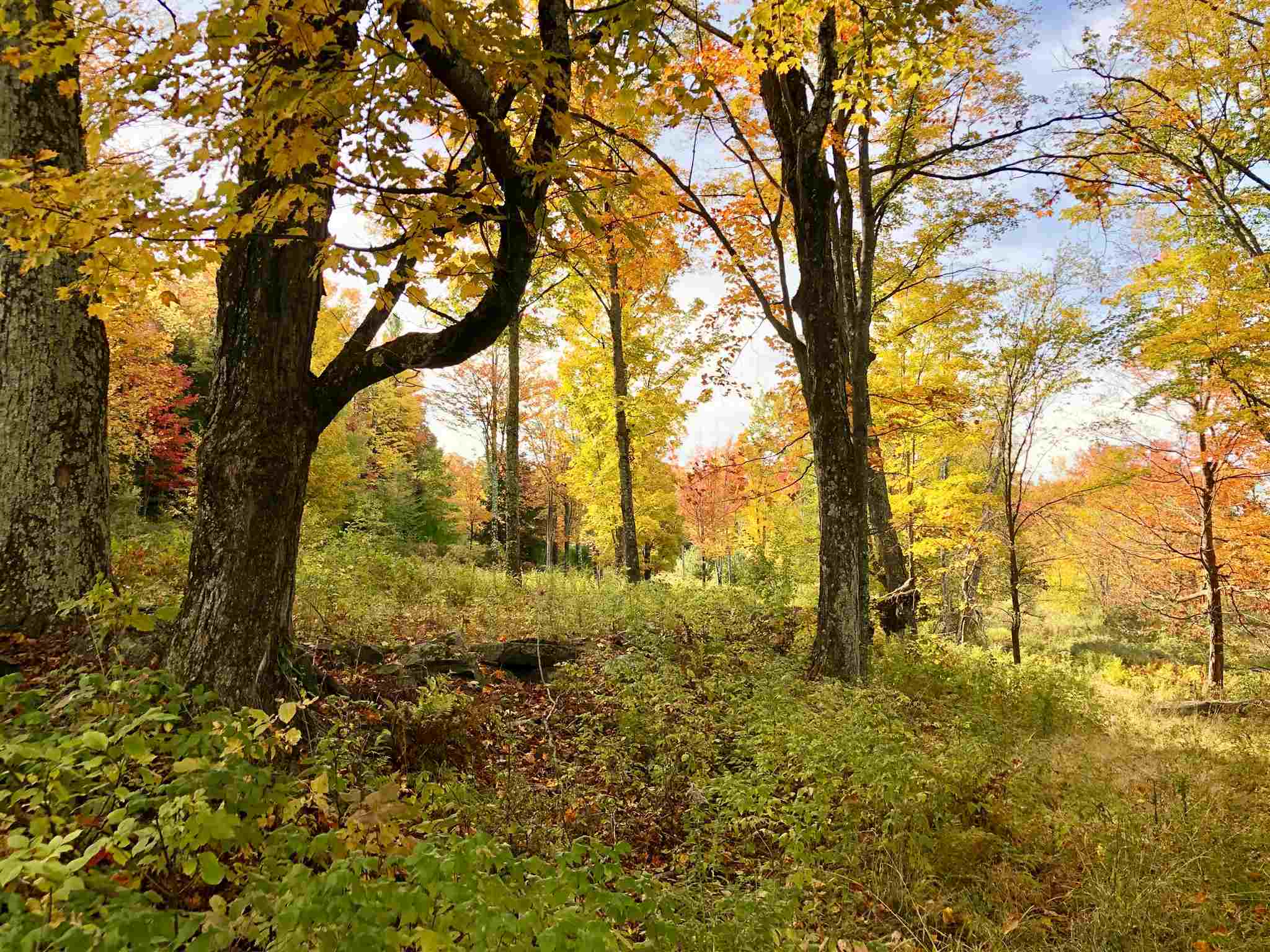 Property Photo:  Black Mountain Road  VT 05444 