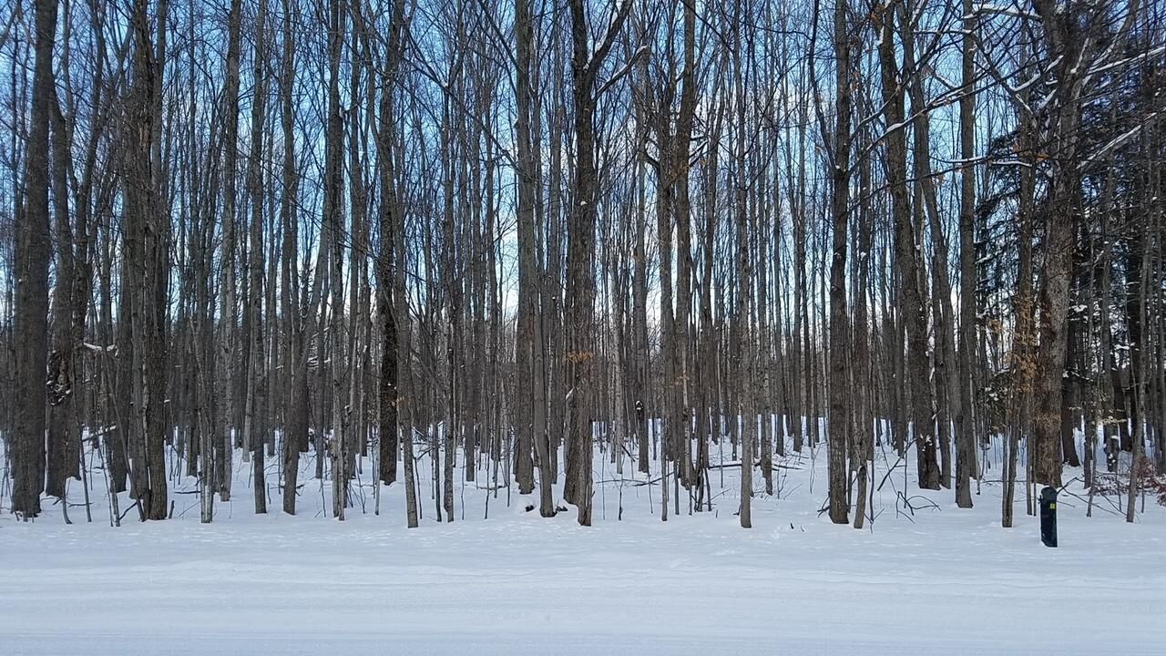 Property Photo: 1616 Michaywe Drive Lot 1047 M#4 MI 49735