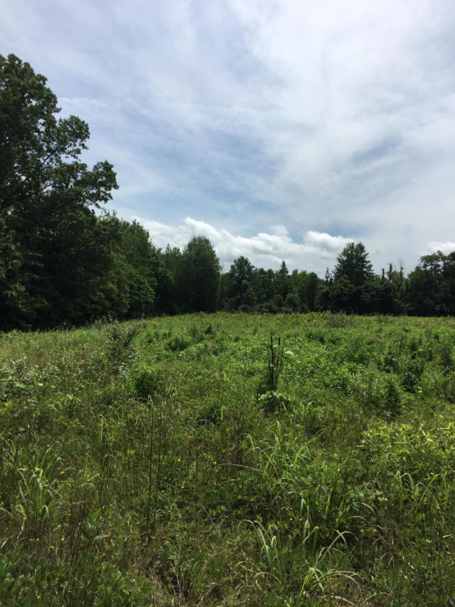 Property Photo: 0 Sawyer Road MI 49125