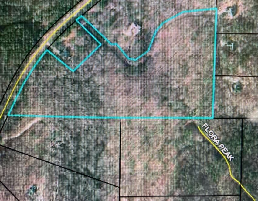 Property Photo:  Tract 5 Woods R Wagers Mill Tract 5  GA 30263 