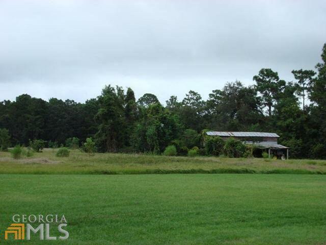 Property Photo:  Lot 219 Mush Bluff Road  GA 31558 