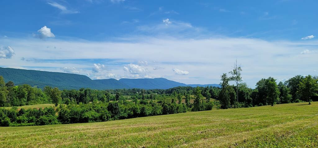 Property Photo: 69.3 Acres County Road 804 TN 37331