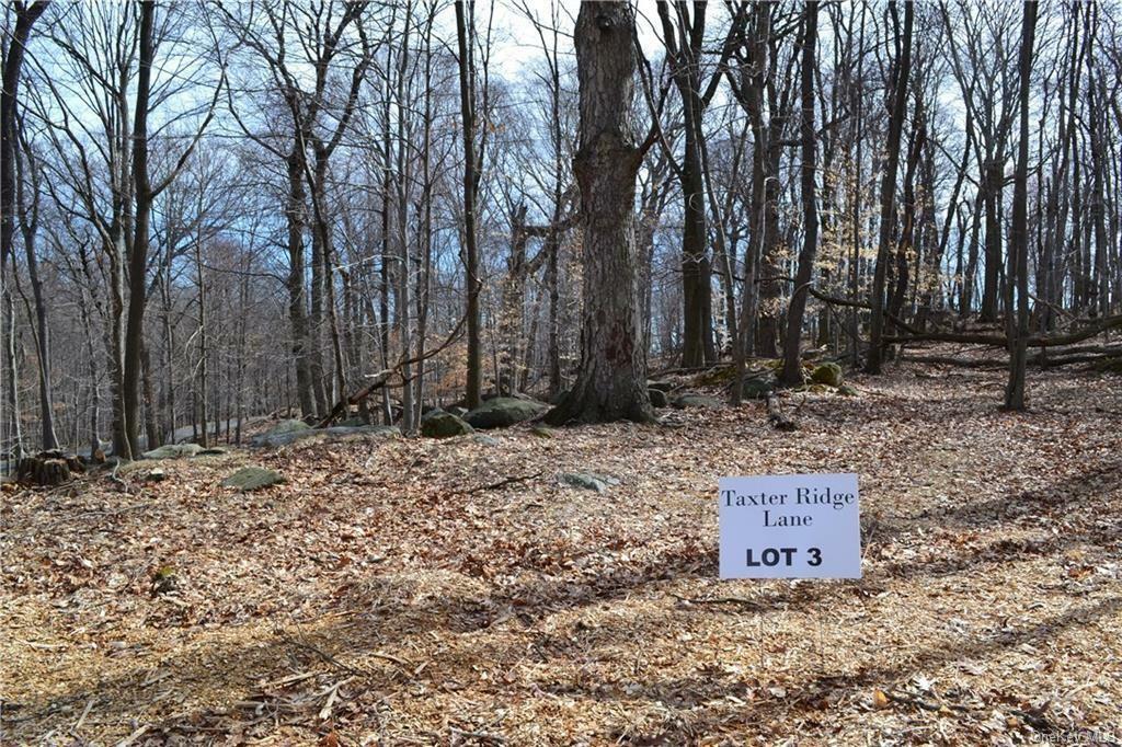 Property Photo:  Lot 3 Taxter Ridge Lane  NY 10533 