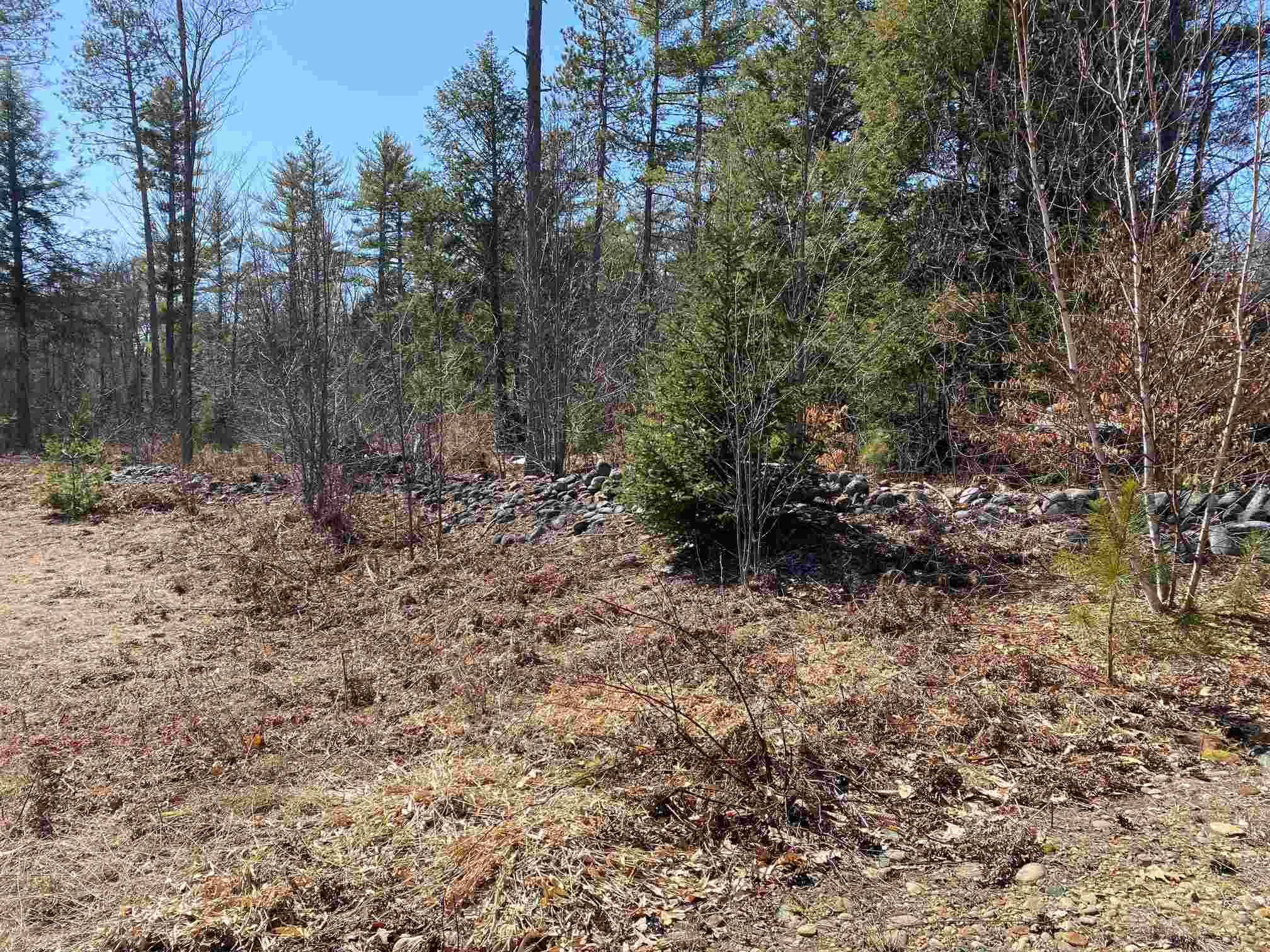 Property Photo:  230 Lower Ridge Road  NH 03307 