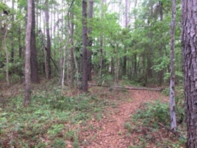 Property Photo:  00 Hickock Court  FL 32311 