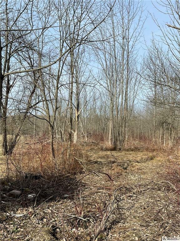 Property Photo:  0 Fluvanna-Townline Road West  NY 14701 