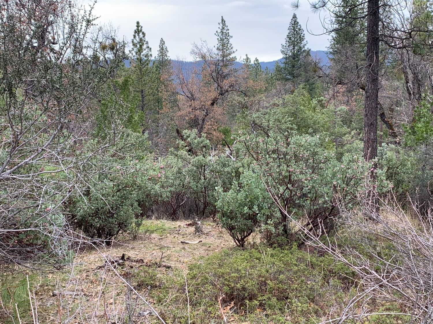 Property Photo: 3493 Braden Road CA 95709