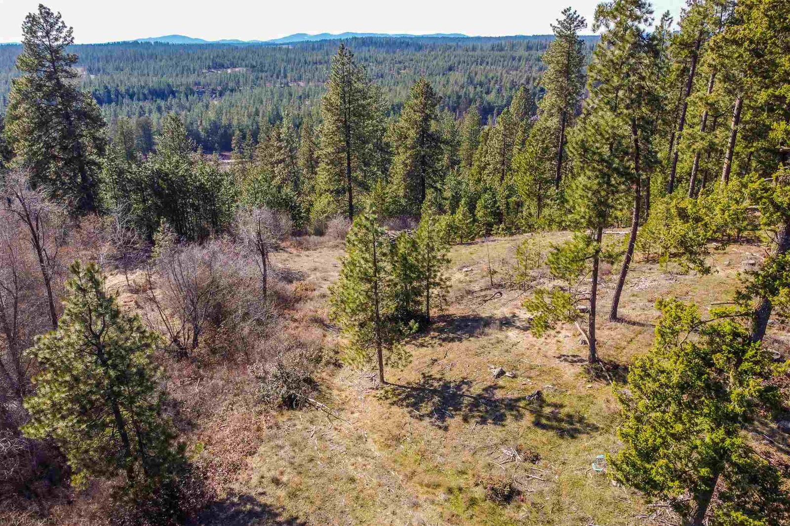 Property Photo: 6400 E Snowy River Ln WA 99003