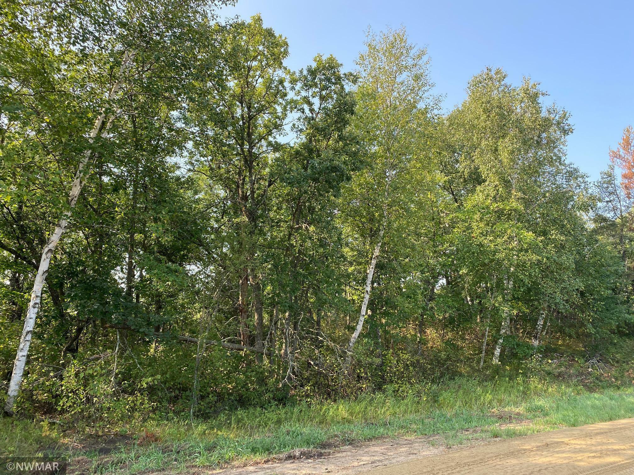 Property Photo:  Tbd (L8,B2) Goldfinch Lane SW  MN 56601 