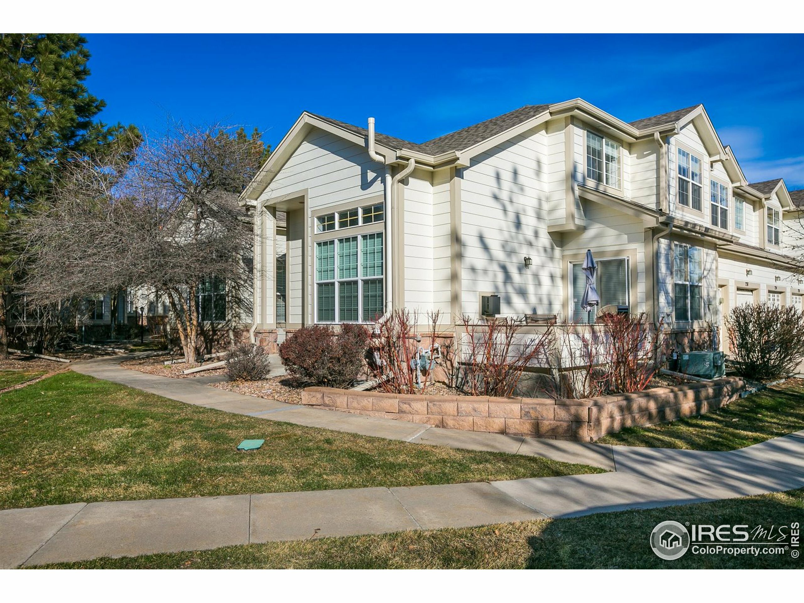 Property Photo:  236 Remuda Ln  CO 80026 