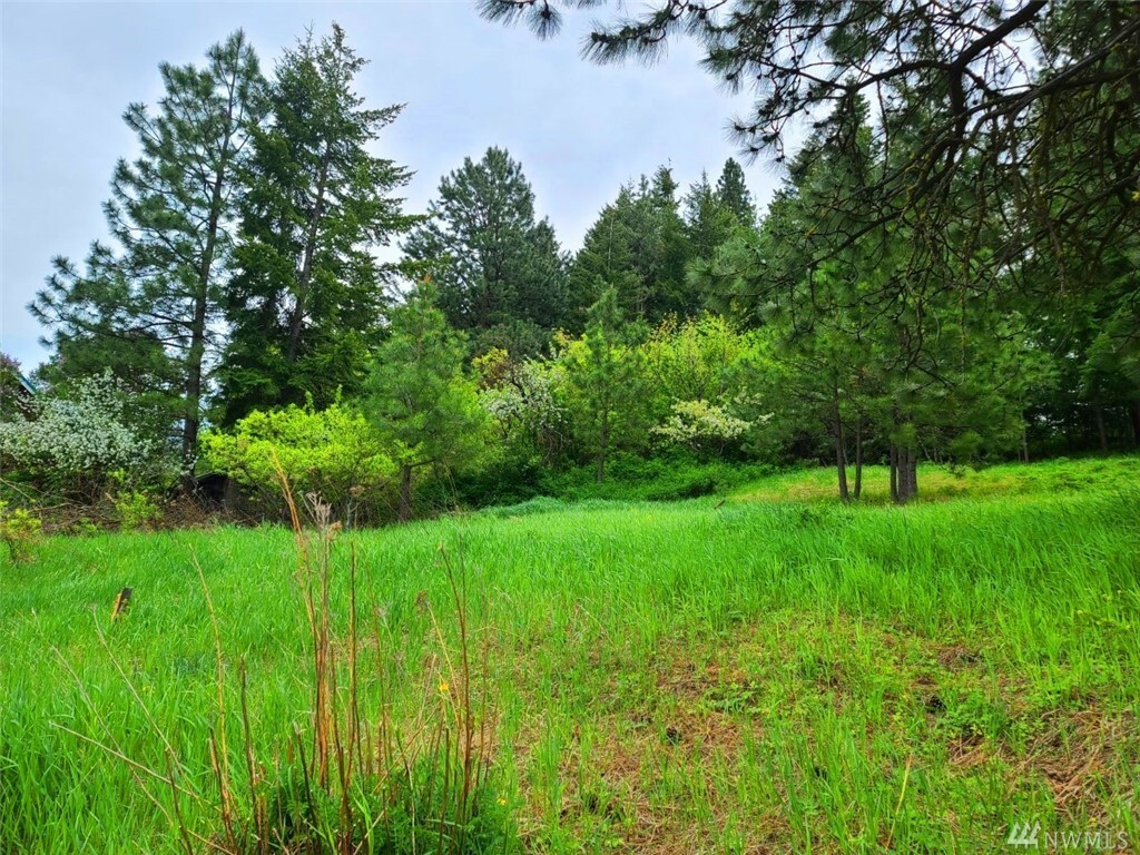 Property Photo:  6 5th Street Alley  WA 98941 