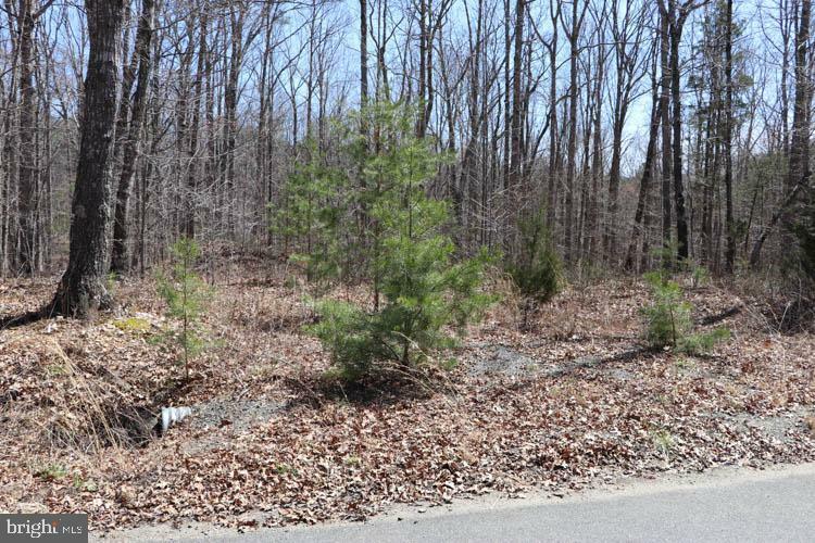 Property Photo:  Lot 10 Hope Lane  VA 22960 