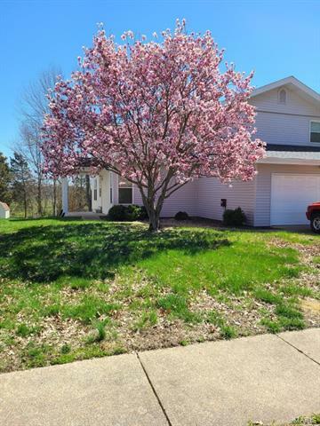 Property Photo:  16312 Fullerton Meadows Drive   63011 