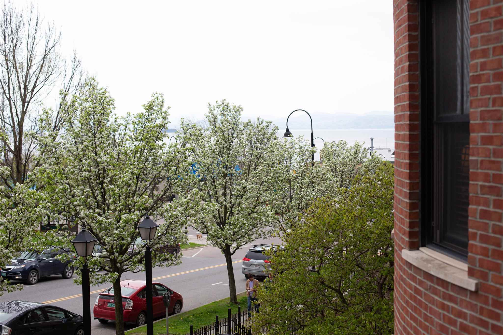 Property Photo:  40 College Street 309  VT 05401 