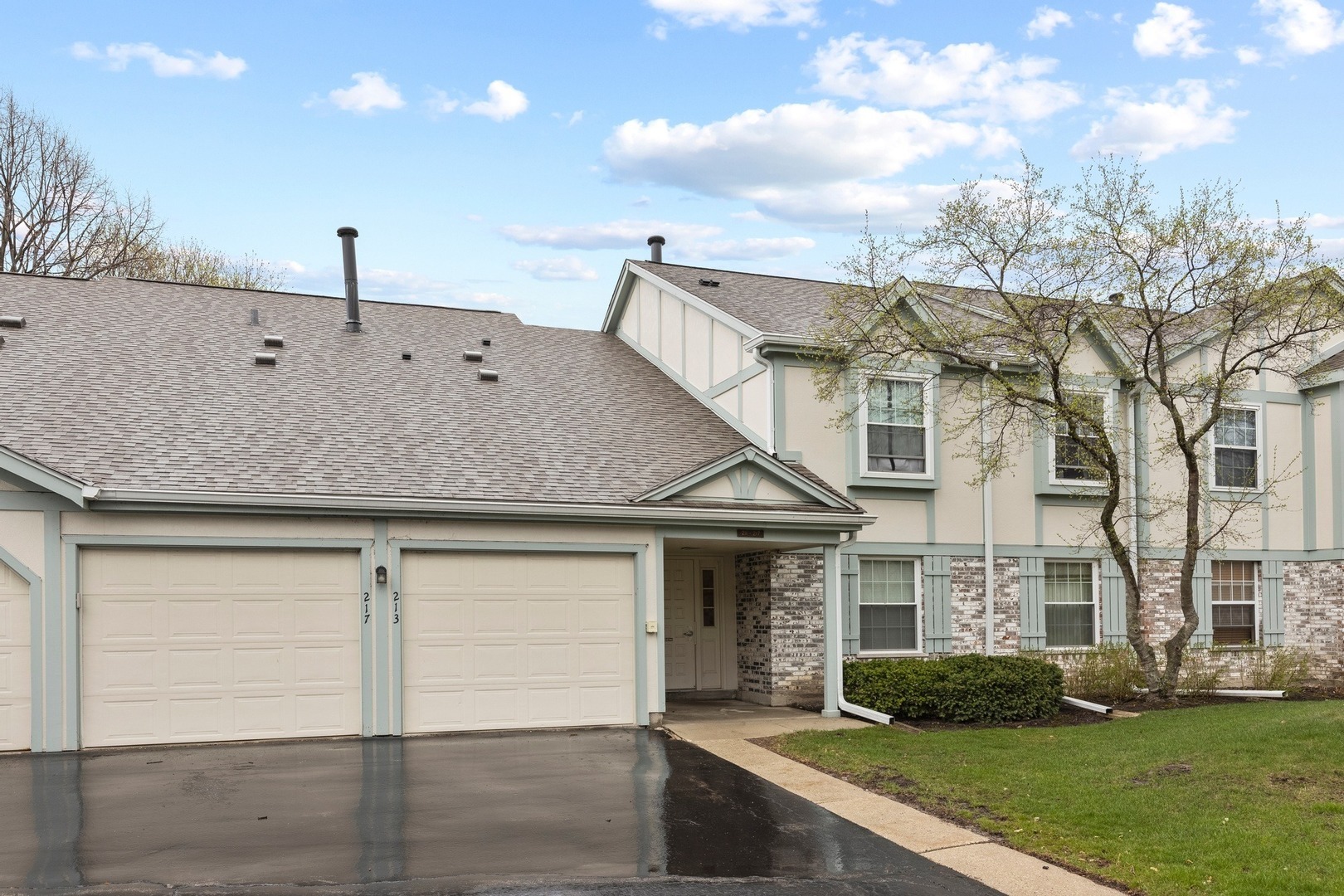 Property Photo:  217 Blossom Court 217  IL 60089 