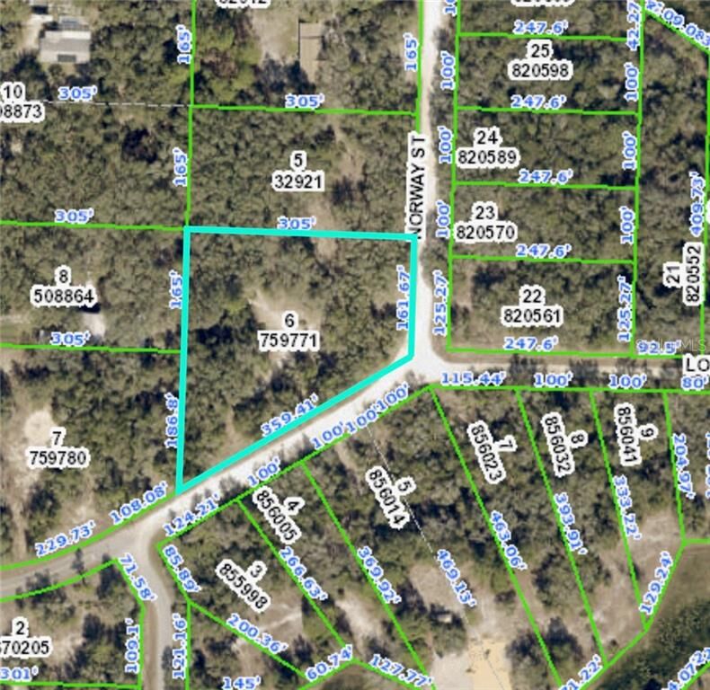 Property Photo:  Long Circle  FL 33597 