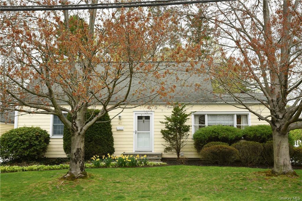 Property Photo:  60 Wood Avenue  NY 10502 