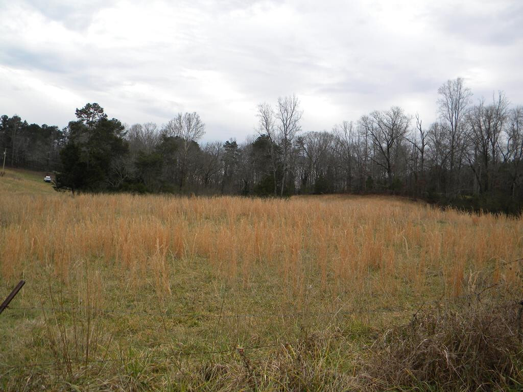 Property Photo: 13.92 Ac County Road 728 TN 37370