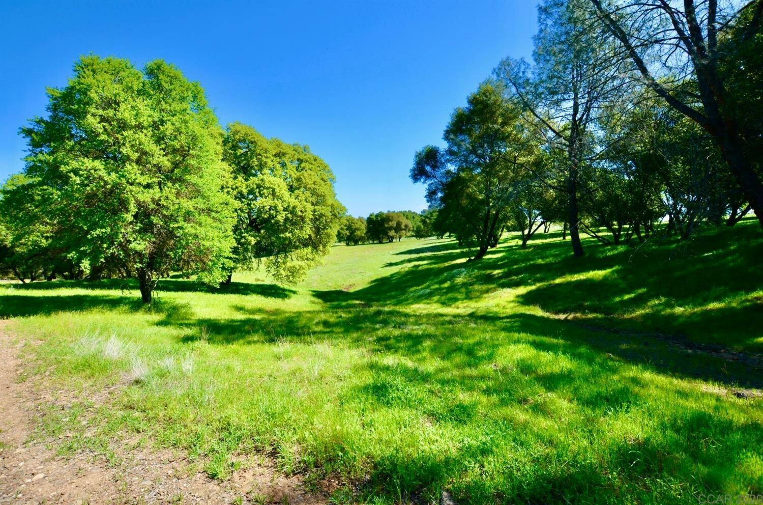 Property Photo:  7412 Pool Station Road  CA 95222 