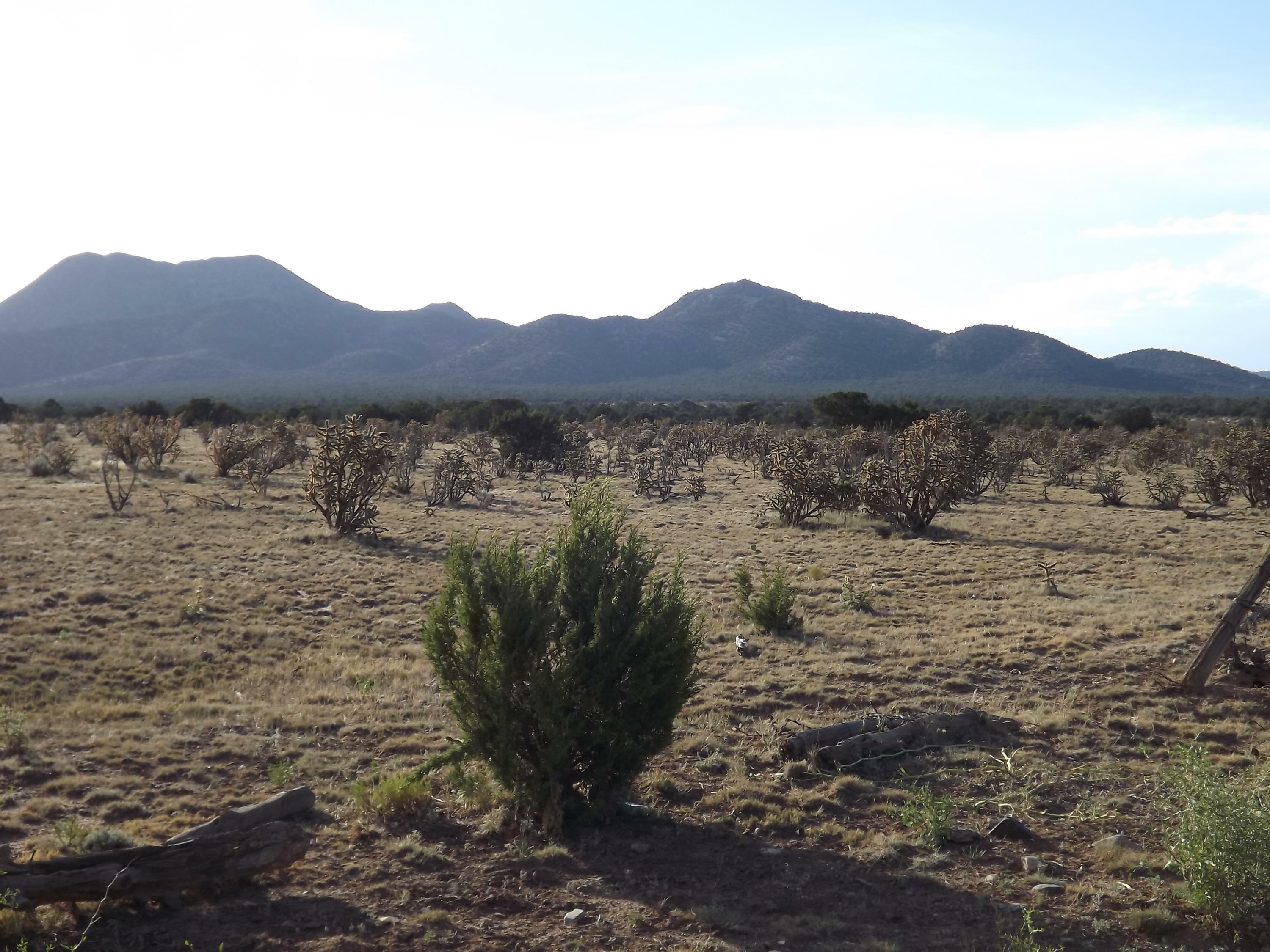 Property Photo:  1170 State Road 344  NM 87056 