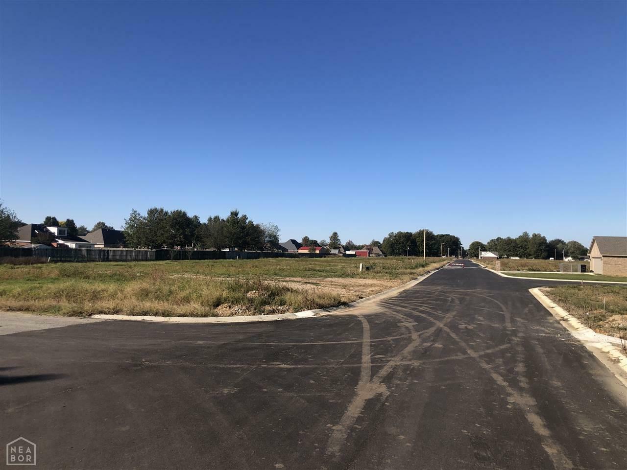 Property Photo:  Lot 13 Stella  AR 72472 