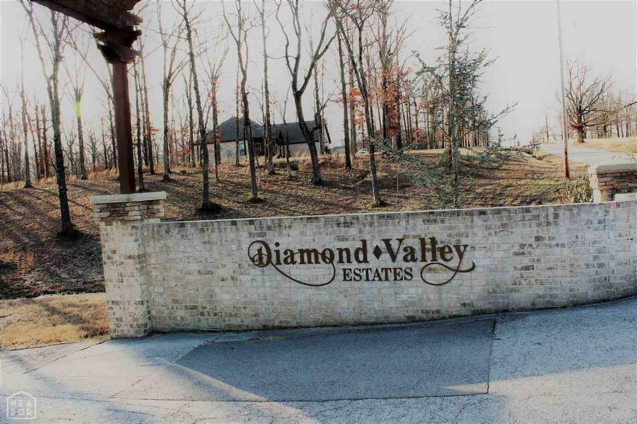 Property Photo:  Lot 10 Diamond Valley Estates Phase Ii  AR 72404 