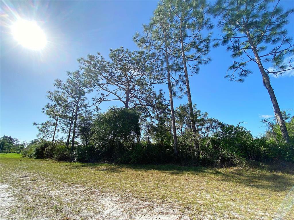 Property Photo:  205 El Dorado Drive  FL 33855 