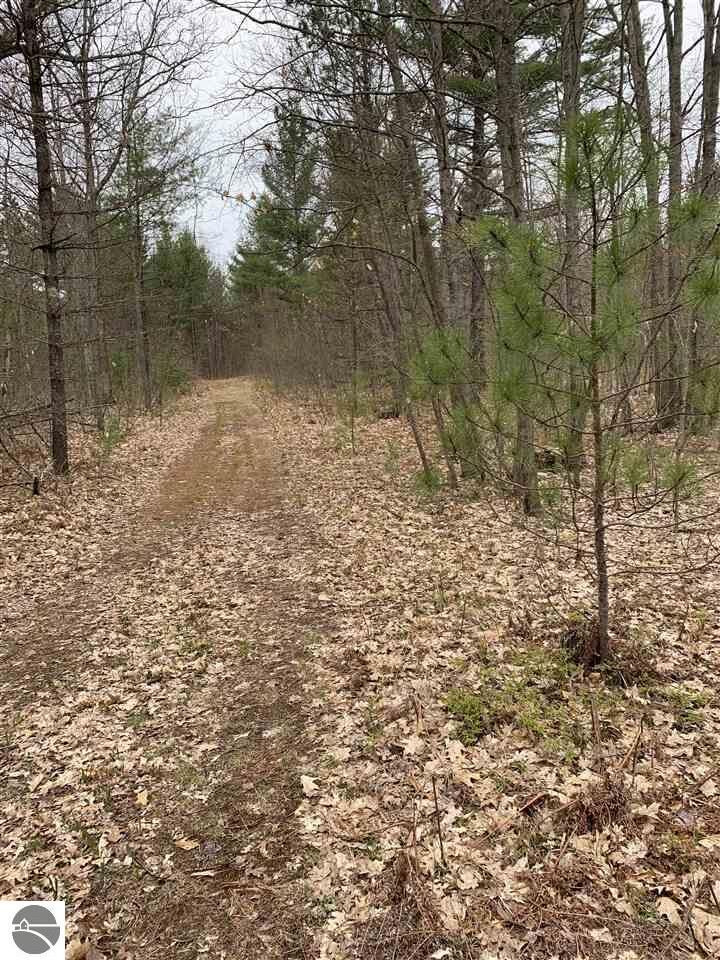 Property Photo: Parcel F Vans Lane MI 49633