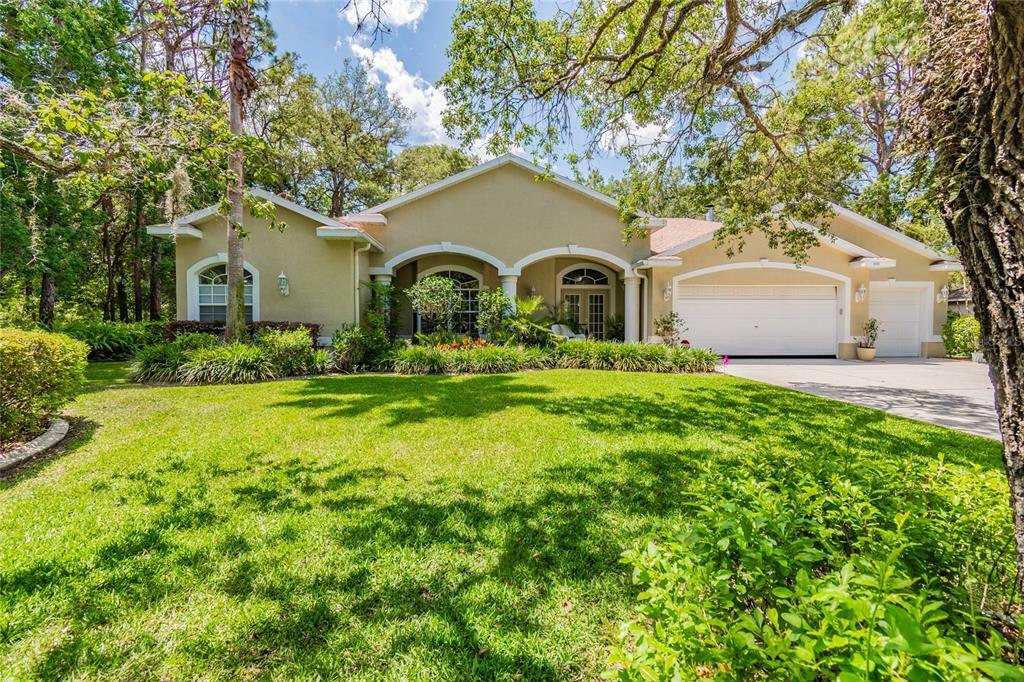 Property Photo:  13757 Powder Keg Court  FL 34667 