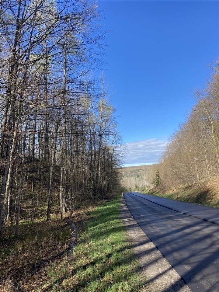 Property Photo: Stutsmanville MI 49740