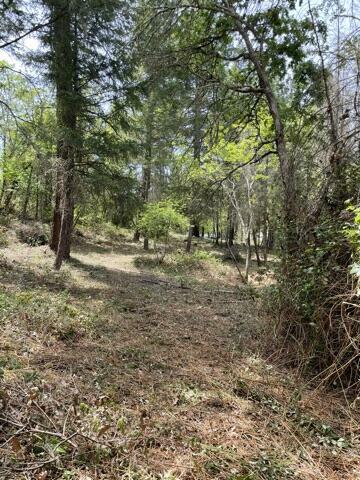 Property Photo:  Tl100 E Evans Creek Road  OR 97537 