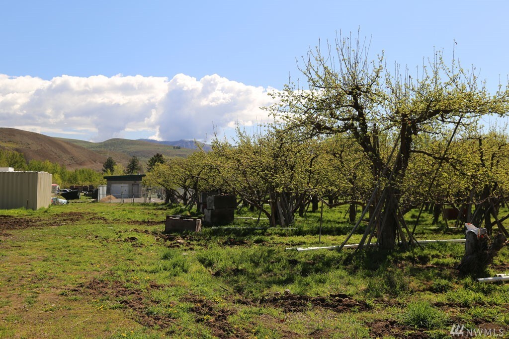 Property Photo:  Tbd Schulz Lane  WA 98856 