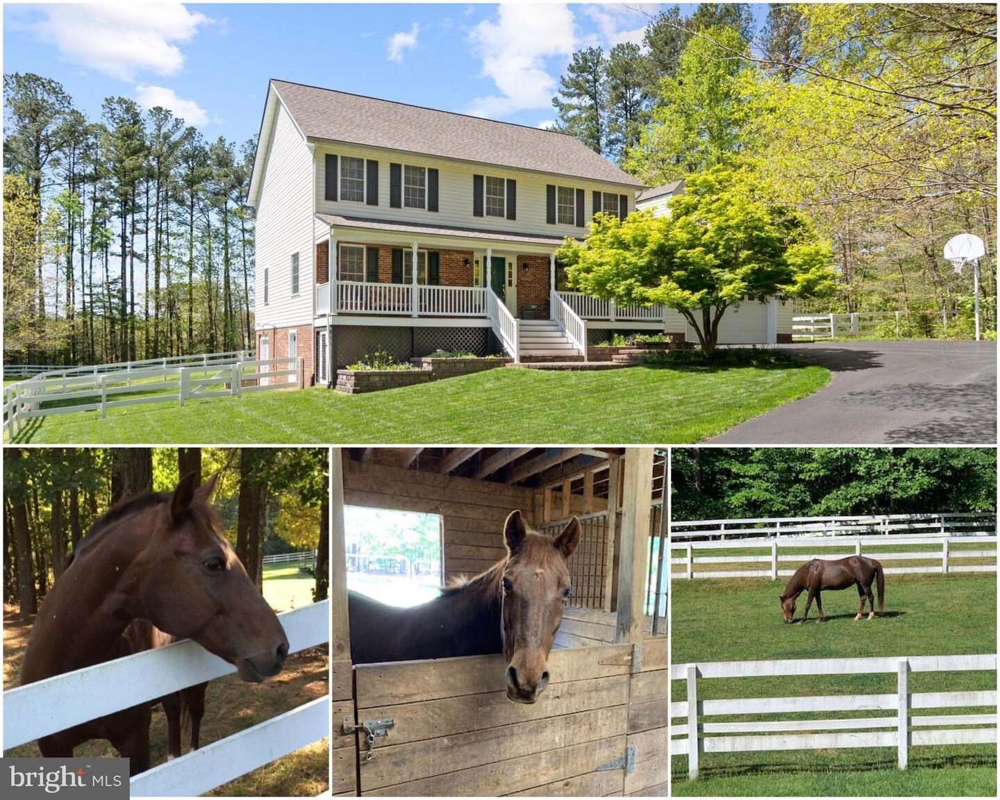 Property Photo:  8 Wilderness Court  VA 22556 