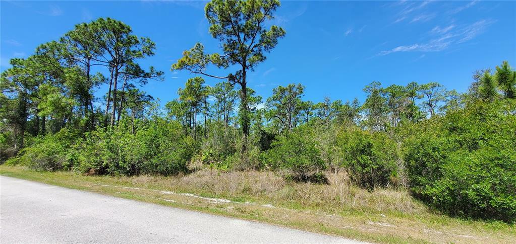 Property Photo: 12061 Lamontier Drive FL 33955