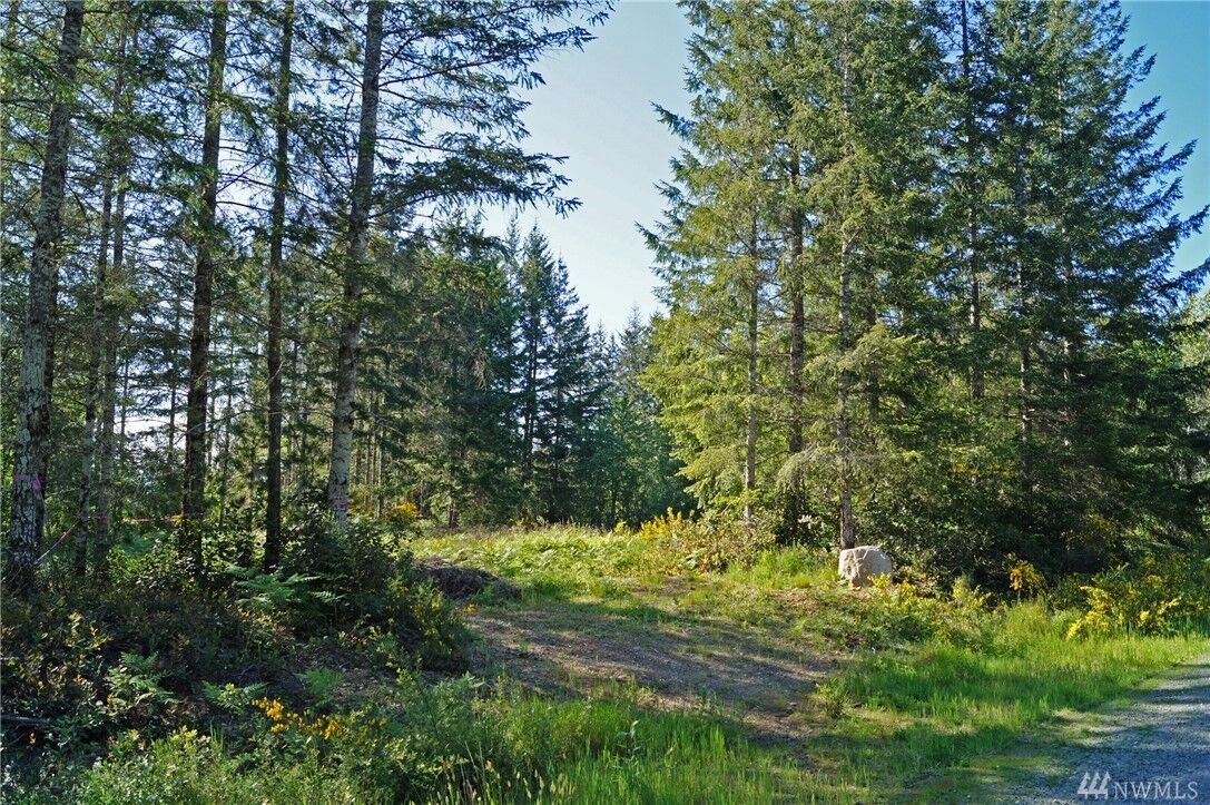 Property Photo: 10 E Jobes Ct WA 98546