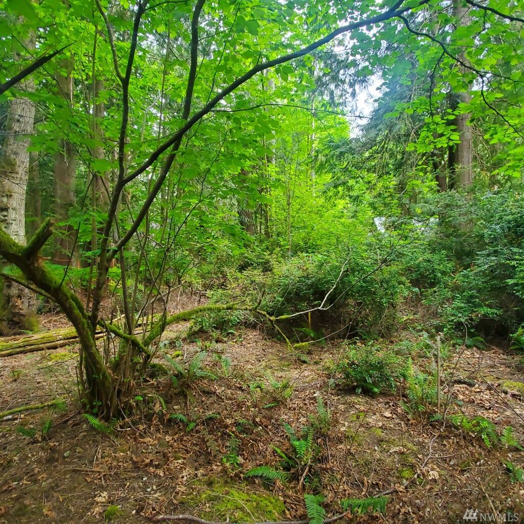 Property Photo:  568 E Pointes Dr W  WA 98584 