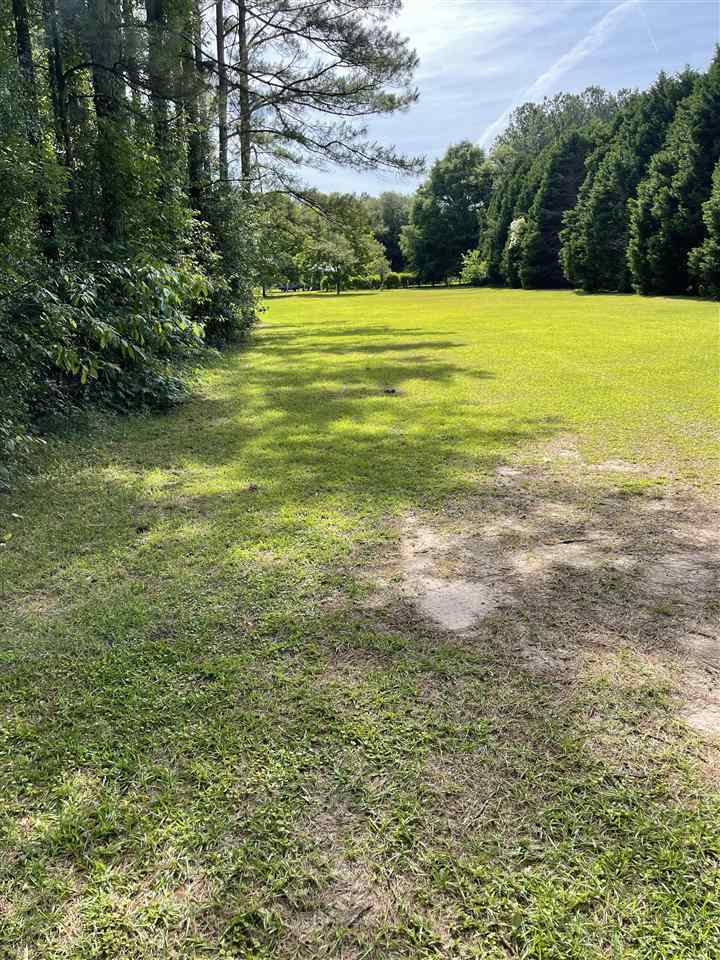 Property Photo:  000 Ames Barineau Road  FL 32333 