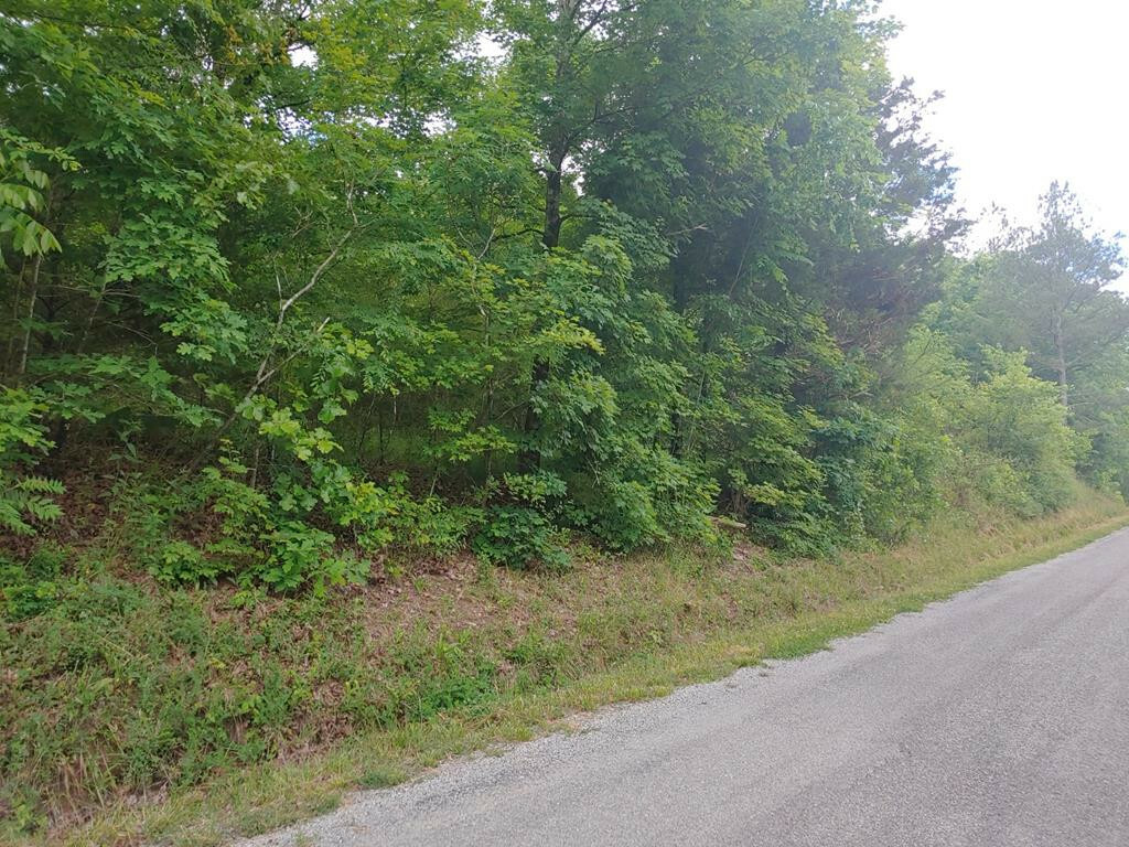 1610 Redman Lane  Decatur TN 37322 photo