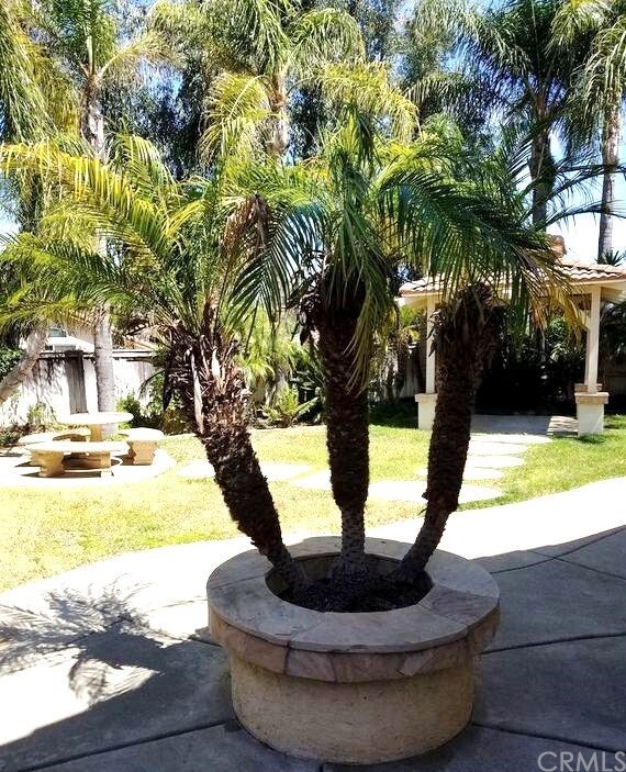 Property Photo:  31862 Calle Ballentine  CA 92592 