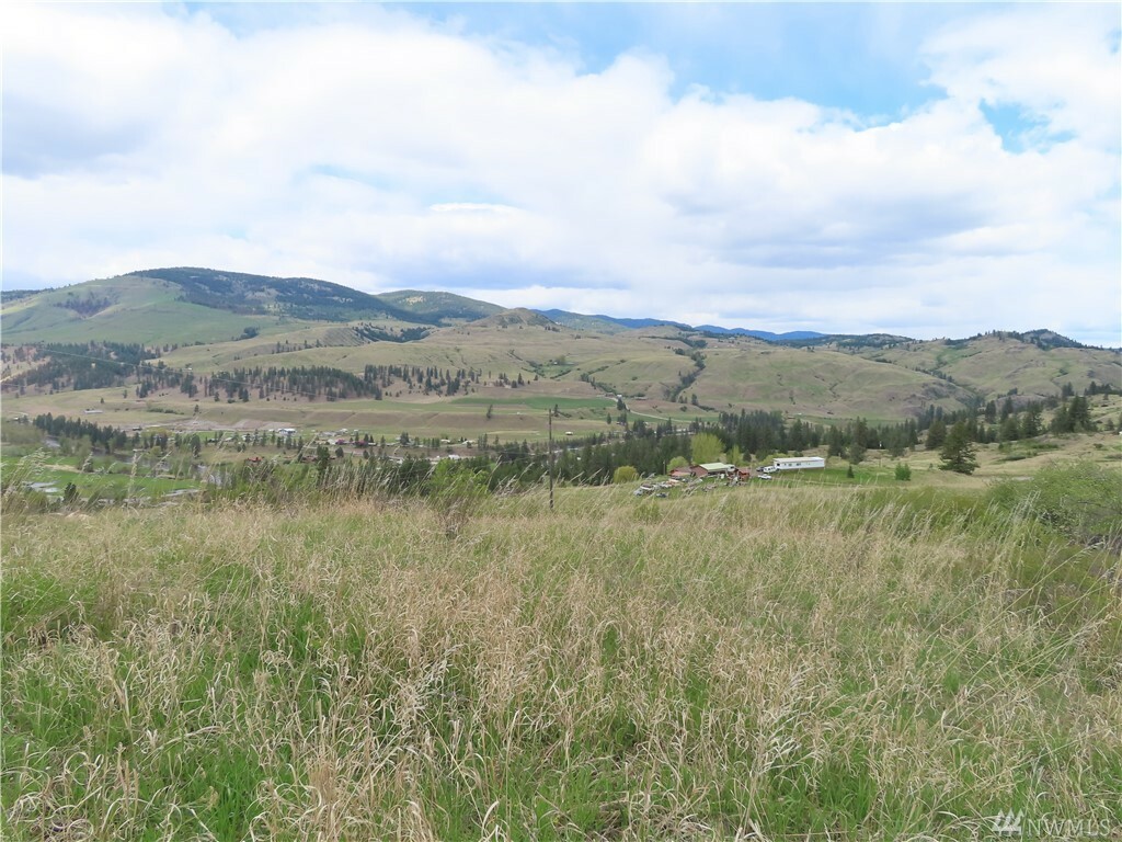 Property Photo:  Tbd Long Alec Creek Rd  WA 99118 