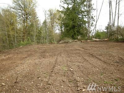 Property Photo:  Lot 4 Hemingway Lane  WA 98528 