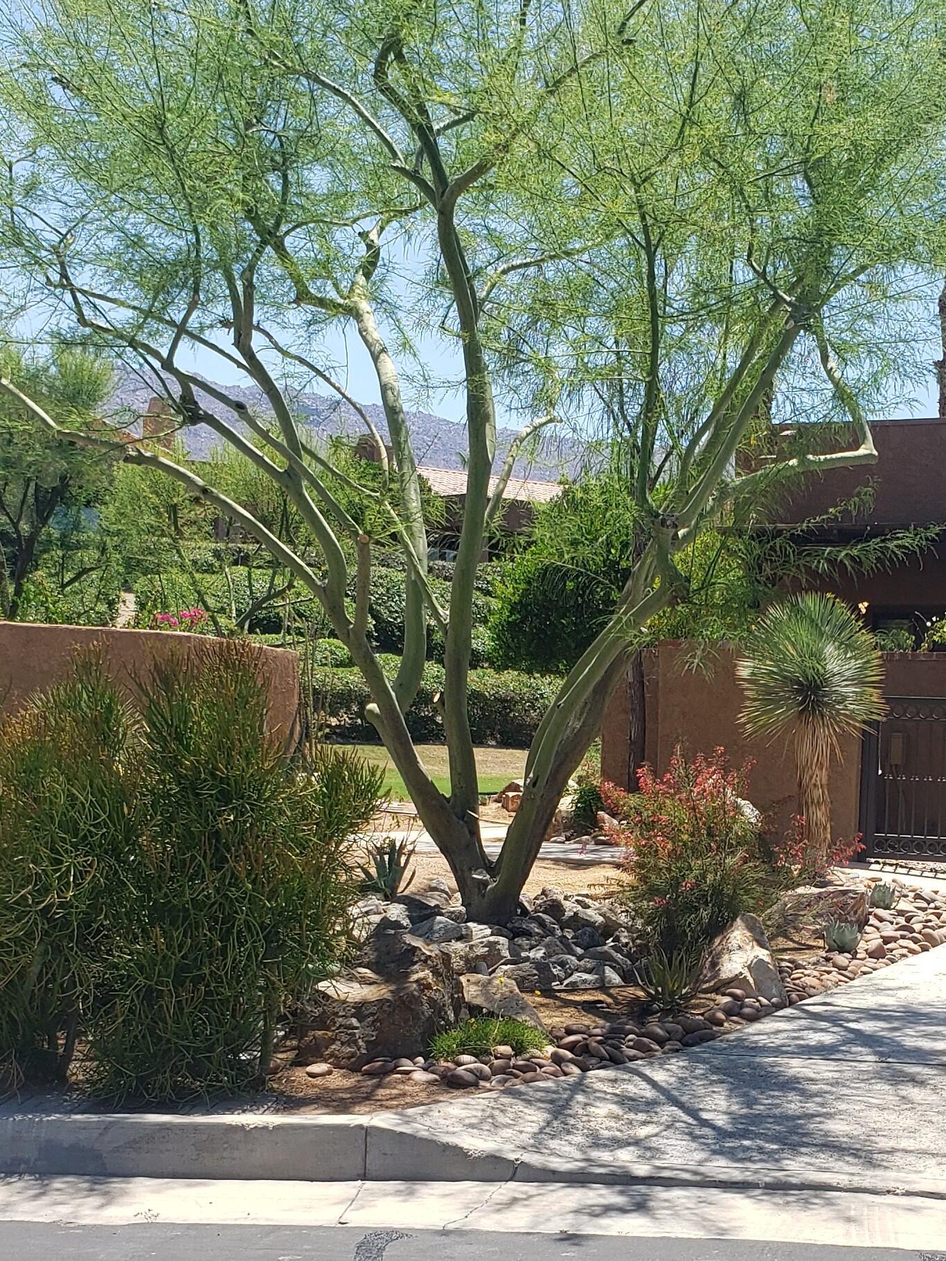 Property Photo: 48634 Palo Verde Court CA 92260