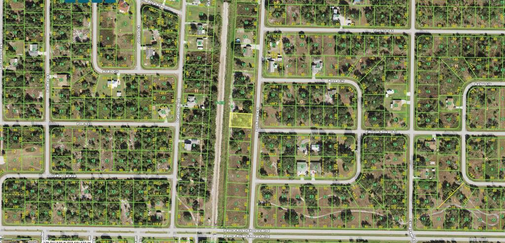 Property Photo: 199 Sunflower Street FL 33982