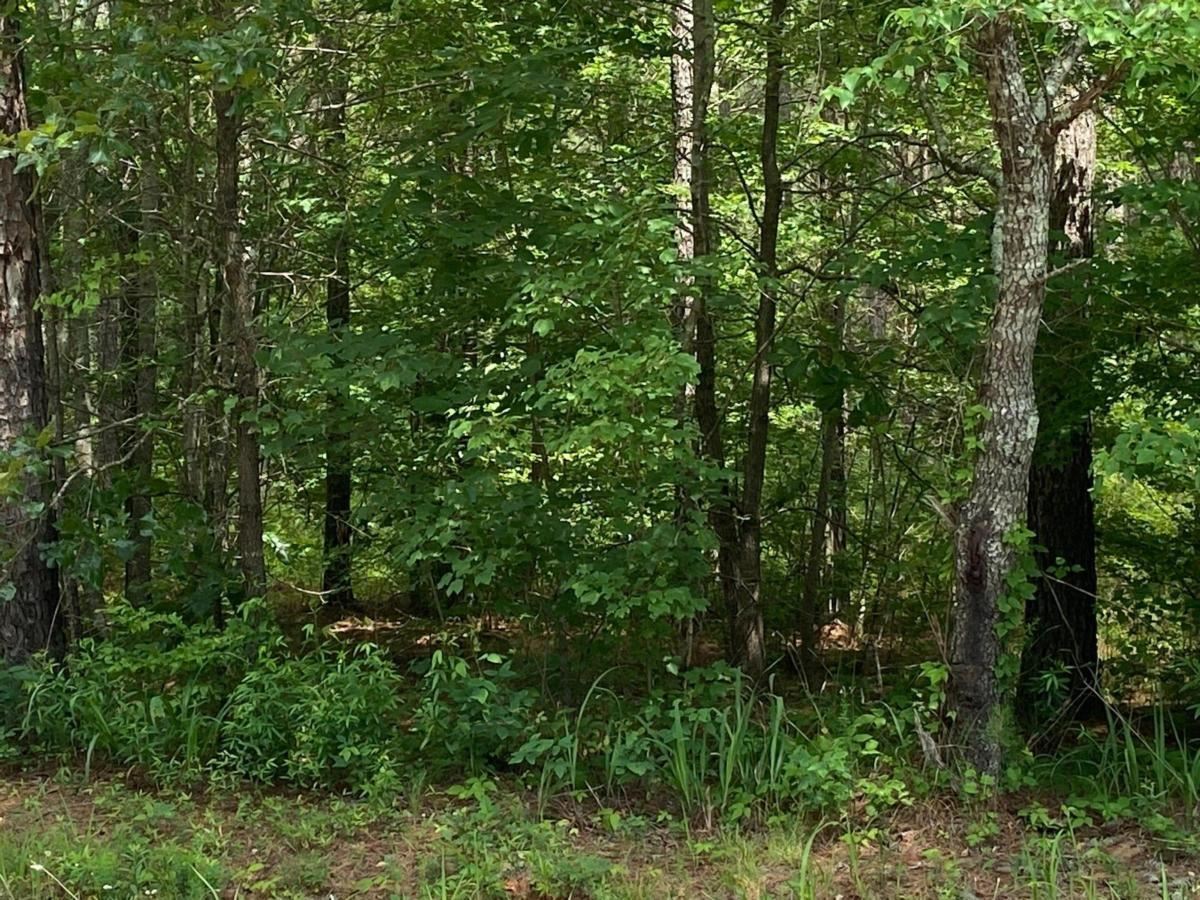 Property Photo: 0 Old Yorkville Road GA 30157