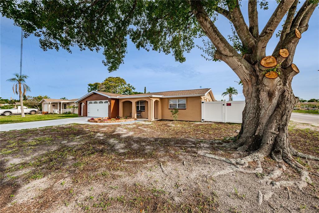 Property Photo:  3151 Coldwell Drive  FL 34691 