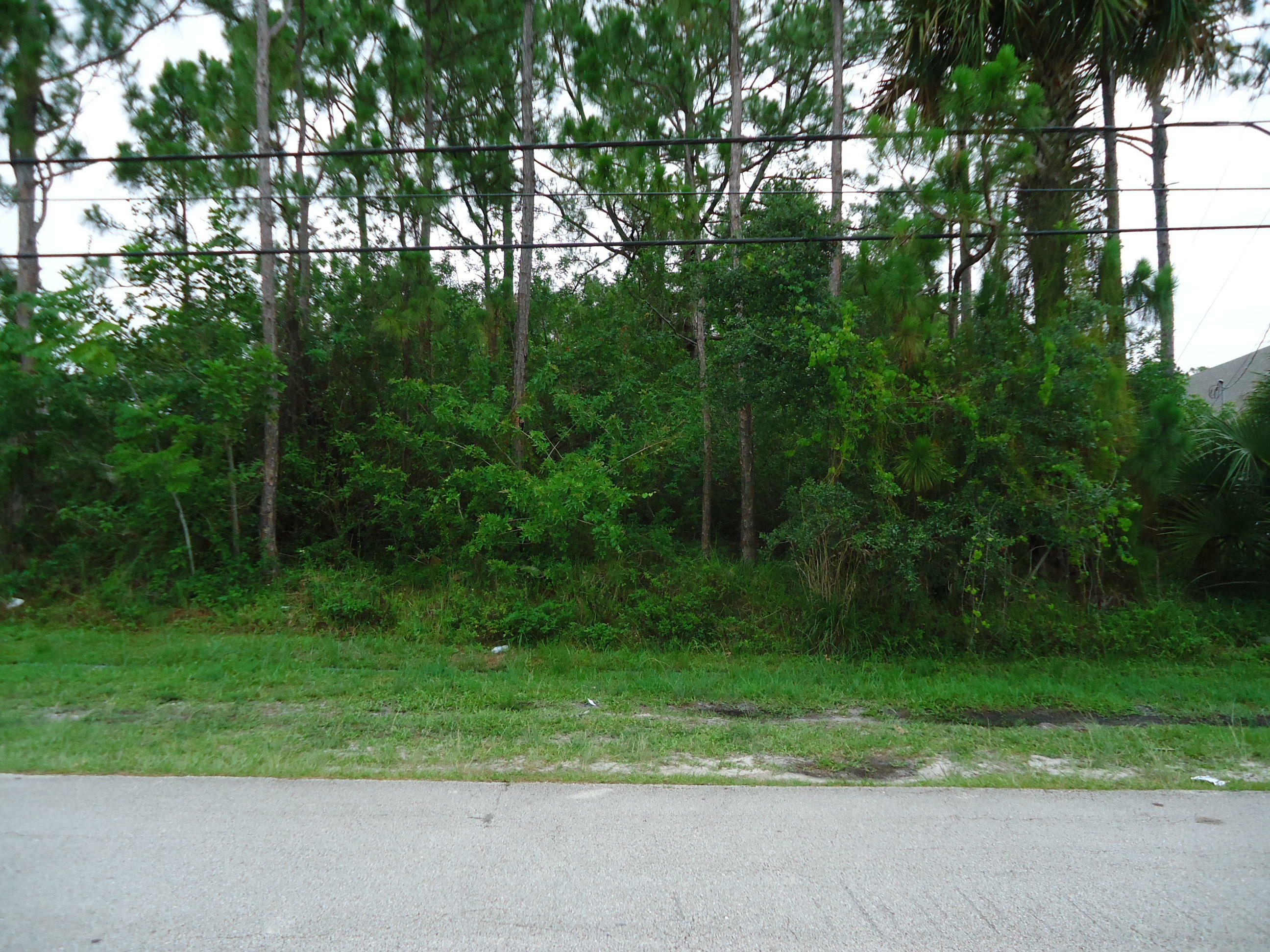 217 SW Whitmore Drive  Port Saint Lucie FL 34984 photo