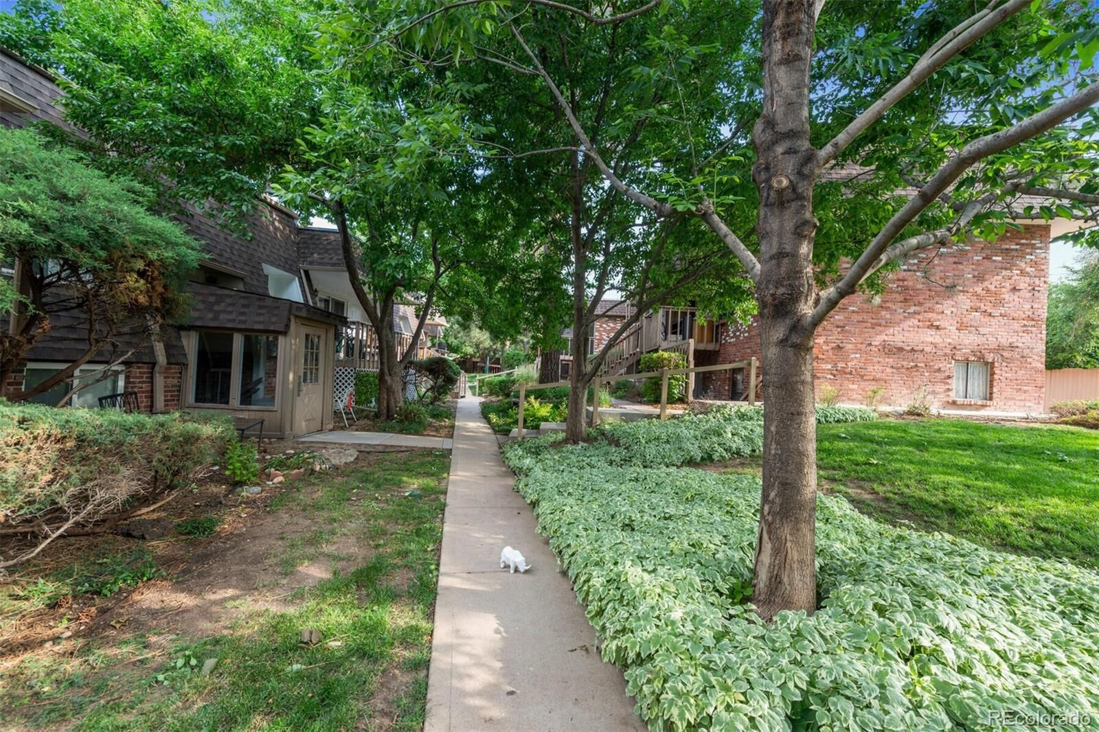 Property Photo:  1585 S Holly Street 109  CO 80222 