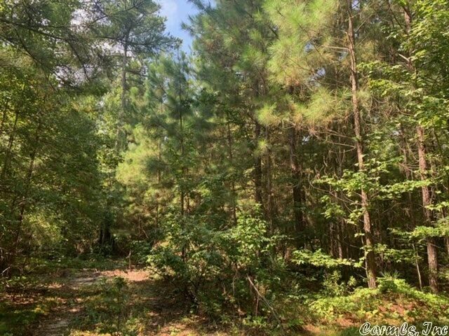 Property Photo:  13.8 Acres Oklahoma Inn Road  AR 72015 