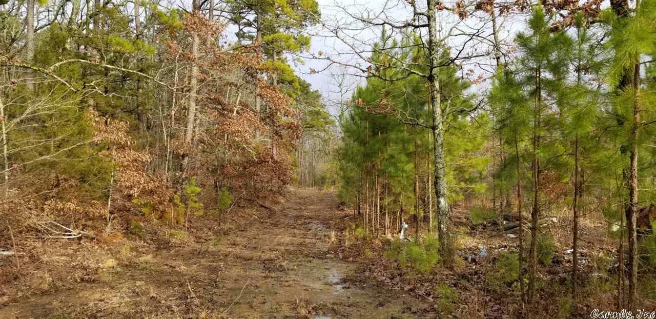 Property Photo:  Unk Polk Road 721  AR 71953 